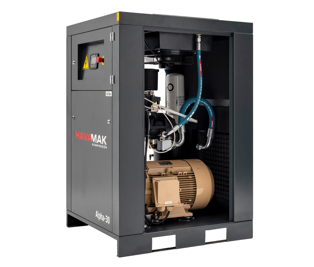 Havamak Alpha 30 Vidalı Kompresör İç